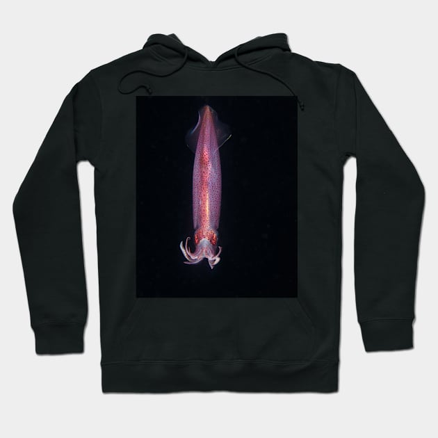 Caribbean Reef Squid On a Blackwater Night Dive Hoodie by jbbarnes